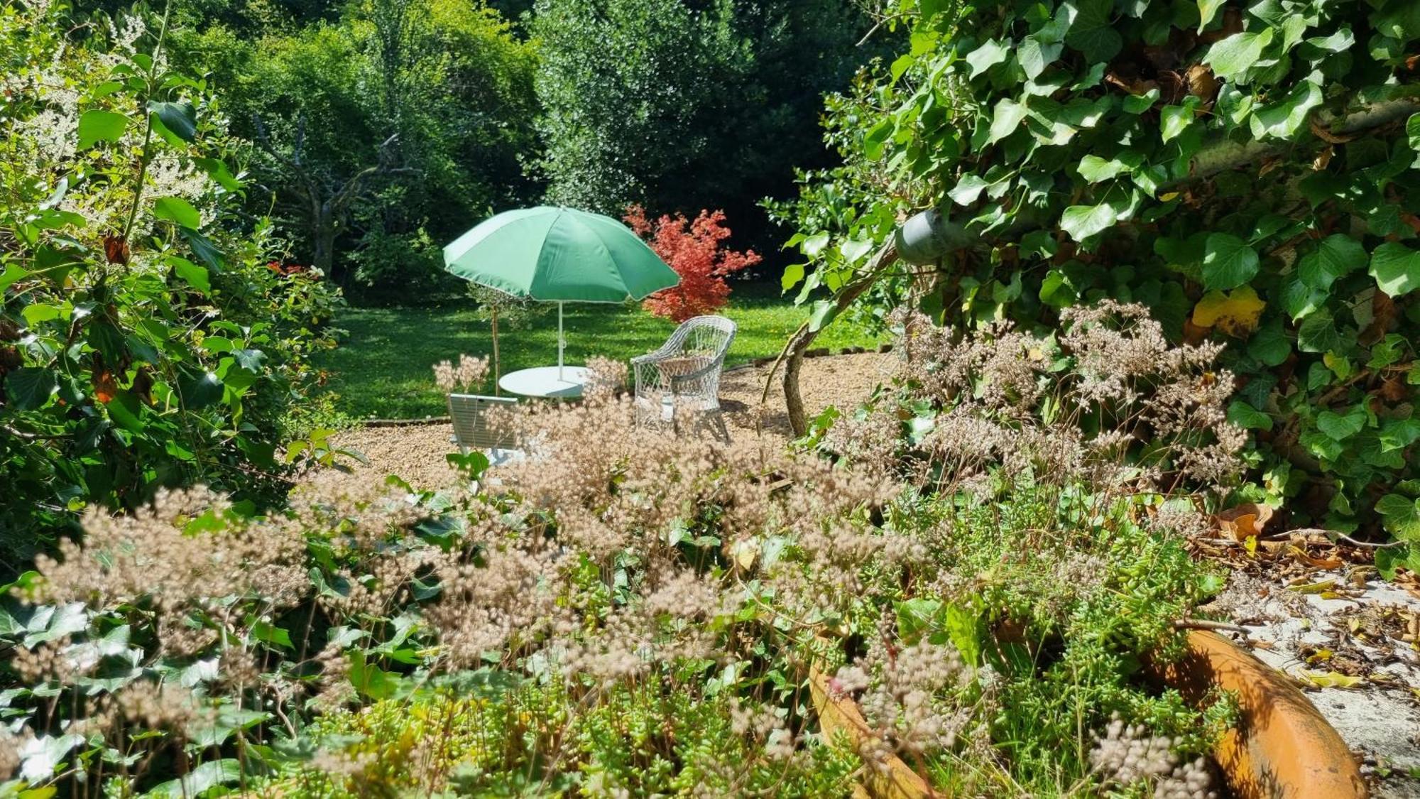 La Maison Celadon Prunay-Cassereau Экстерьер фото